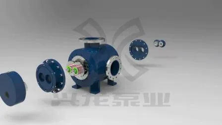 Xinglong Pd Positive Displacement Double Twin Screw Pump for Fuel Oil and Other Oils